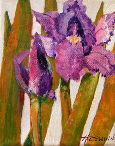 Flower Boxd-Iris